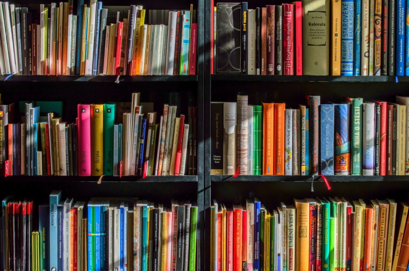 vente-FREJUS-min_books_bookstore_book_reading_shop_writer_sale_books_read-822866