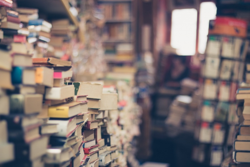 vente-FREJUS-min_books_stack_book_store_stack_of_books_2nd_hand_retro_hipster_shop-829090